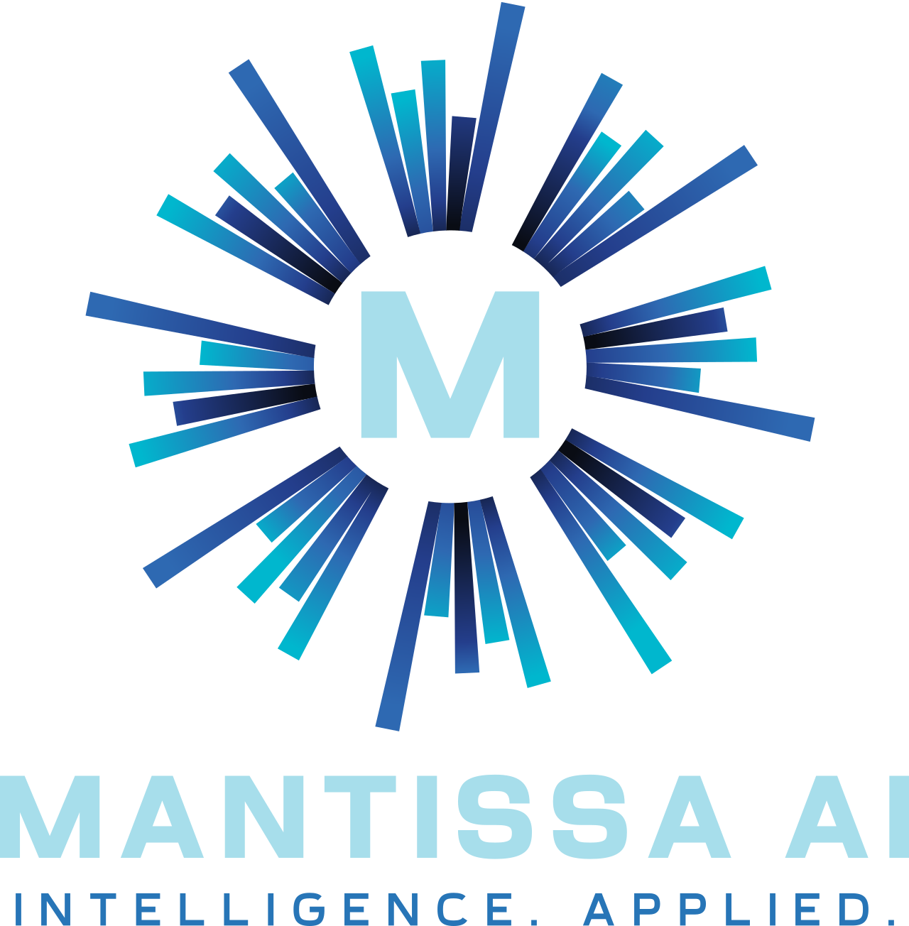 AI Consulting Services for SMBs | Mantissa AI